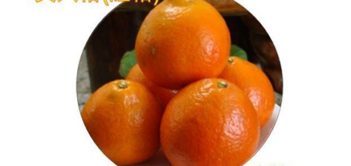 台東名產 ,小農網購,台東伴手禮